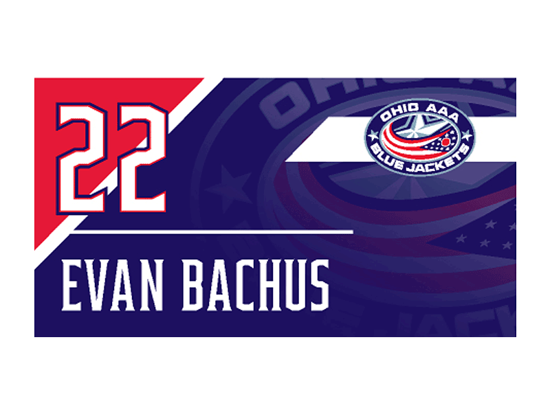 aaa ohio blue jackets bag inserts