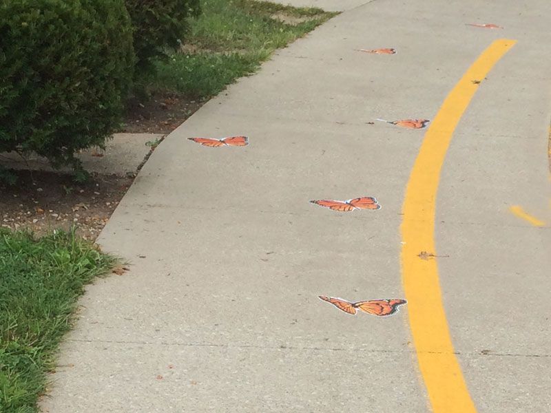 butterfly power brookside elementary school