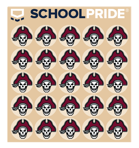 custom pirate football helmet awards on clear