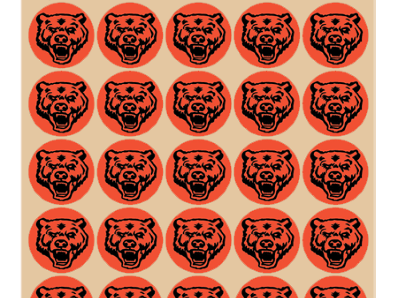 custom bear football helmet awards black on orange