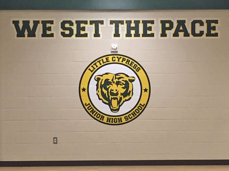 little cypress power grip on school wall