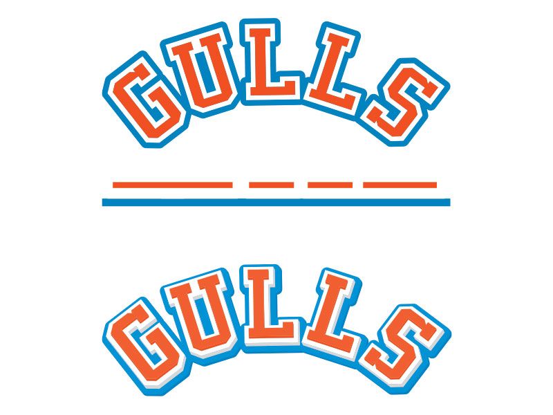 gulls 3d ice hockey decal artwork